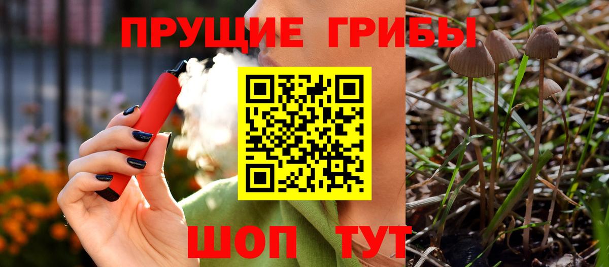 Галлюциногенные грибы GOLDEN TEACHER Кизилюрт