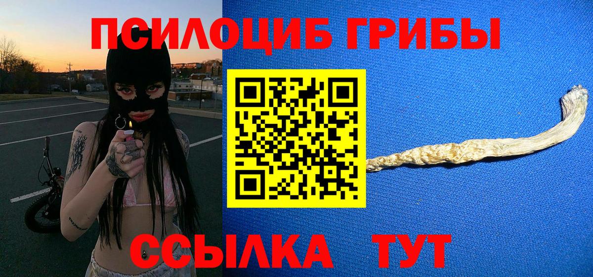 Псилоцибиновые грибы Psilocybe  Вход с VPN  Кизилюрт  Псилоцибиновые грибы Magic Shrooms 
