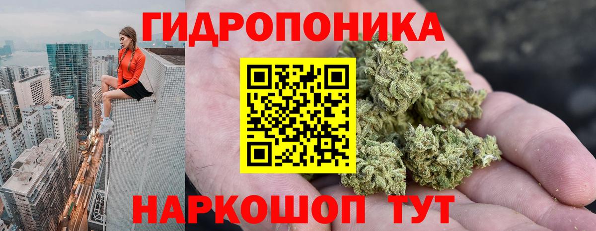 Бошки марихуана сатива  Каннабис Ganja  Кизилюрт  Вход с VPN 